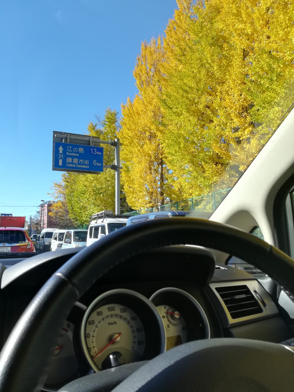 重慶ランチ
牛肉のもち米シュウマイ