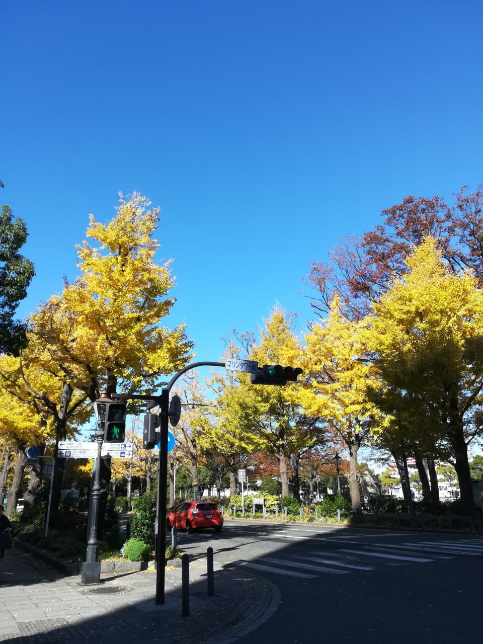 重慶ランチ
牛肉のもち米シュウマイ