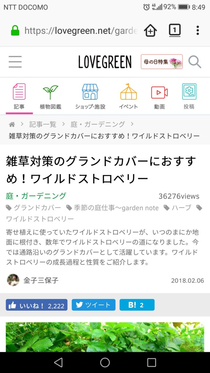LOVE GREEN
フォントと
サイトの雰囲気