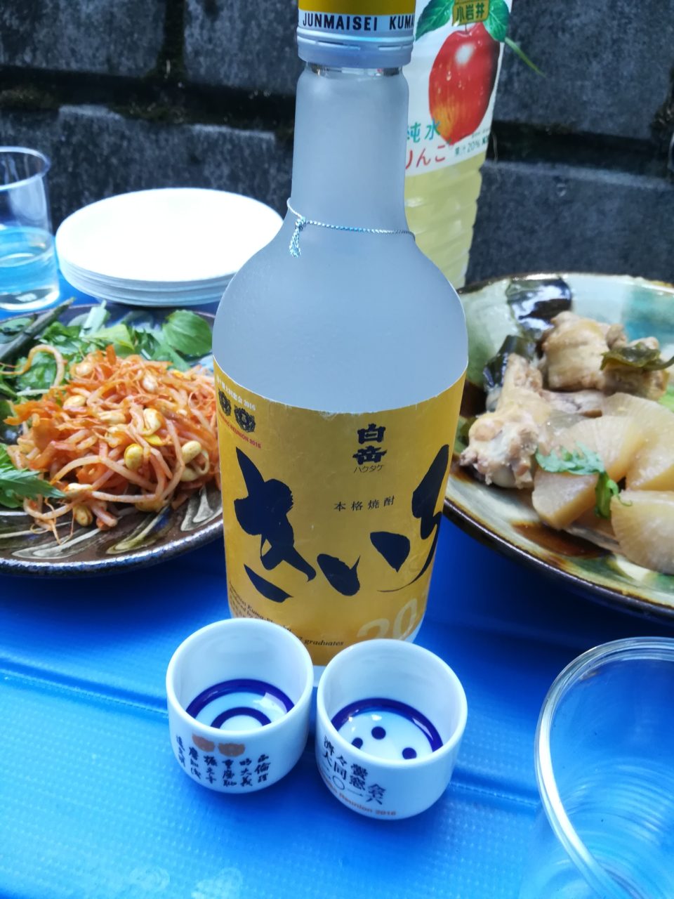 BBQ
鶏手羽塩こうじ煮
味付けはこれ??違う気がした(少し薄めたが飲めるスープ)